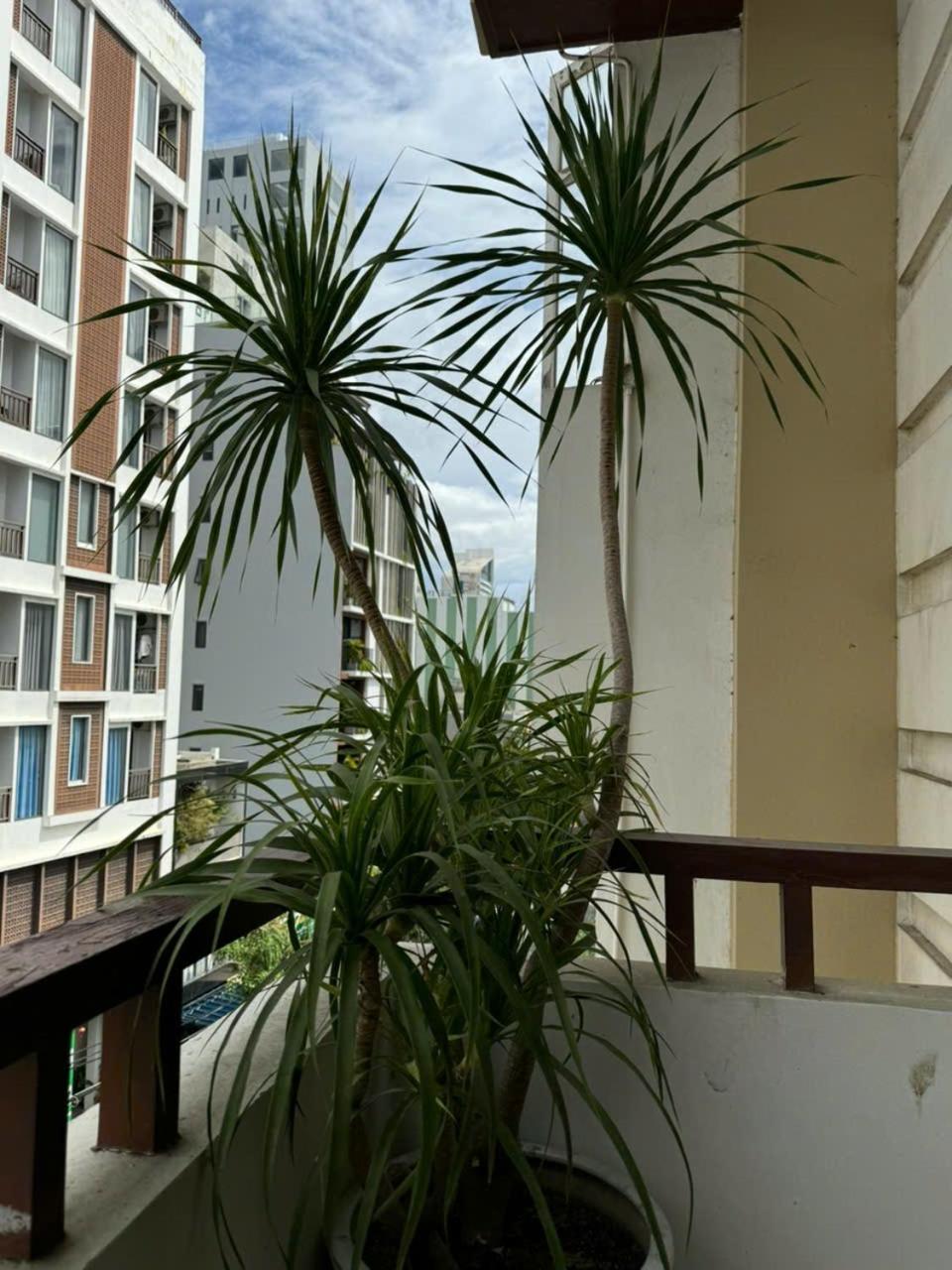 Thanh Hien Hb Hotel Danang Exteriér fotografie